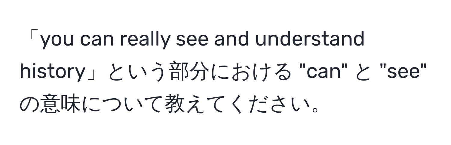 「you can really see and understand history」という部分における "can" と "see" の意味について教えてください。