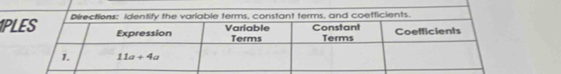 1P and coefficients.