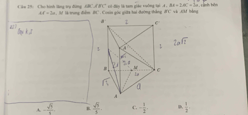 Cho hình lăng trụ đứng ABC.A'' B'C'' có đáy là tam giác vuông tại A , BA=2AC=2a , cạnh bên
AA'=2a , M là trung điểm BC . Cosin góc giữa hai đường thẳng B'C và AM bằng
22)
C.
A. - sqrt(5)/5 .  sqrt(5)/5 · - 1/2 . D.  1/2 .
B.