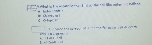 What is the organelle that fills up the cell like water in a balloon.
A： Mitochondria
B: Chloroplast
C: Cytoplasm
10. Choose the correct title for the following cell diagram:
This is a diagram of
A. PLANT cell
B. ANIMAL cell