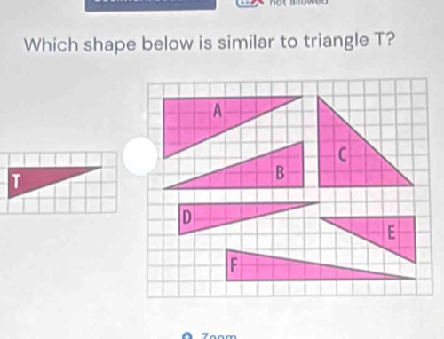 Which shape below is similar to triangle T?
T