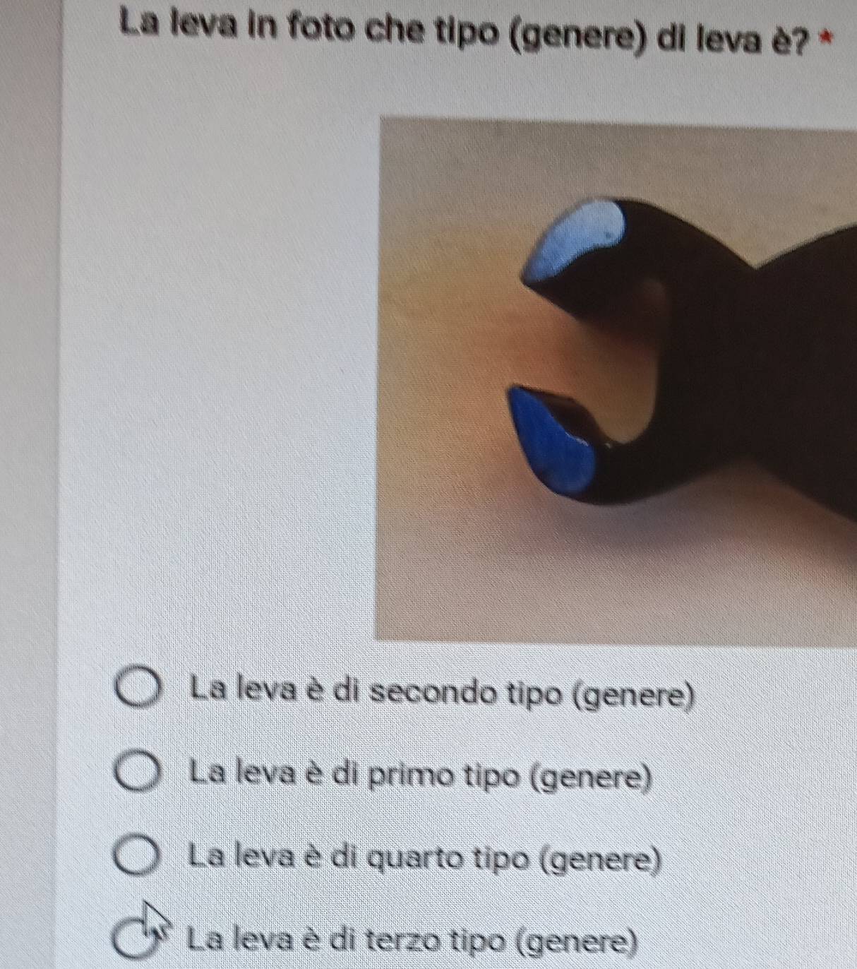 La leva in foto che tipo (genere) di leva è? *
La leva è di secondo tipo (genere)
La leva è di primo tipo (genere)
La leva è di quarto tipo (genere)
La leva è di terzo tipo (genere)