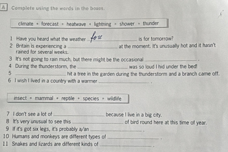 A Complete using the words in the boxes.
climate 《 forecast » heatwave « lightning 。 shower 。 thunder
1 Have you heard what the weather _is for tomorrow?
2 Britain is experiencing a _at the moment. It's unusually hot and it hasn't
rained for several weeks.
3 It's not going to rain much, but there might be the occasional_
4 During the thunderstorm, the _was so loud I hid under the bed!
_5
hit a tree in the garden during the thunderstorm and a branch came off.
6 I wish I lived in a country with a warmer _.
insect mammal 。 reptile 。 species wildlife
7 I don't see a lot of_ because I live in a big city.
8 It's very unusual to see this _of bird round here at this time of year.
9 If it's got six legs, it's probably a/an_
.
10 Humans and monkeys are different types of_
、
11 Snakes and lizards are different kinds of_