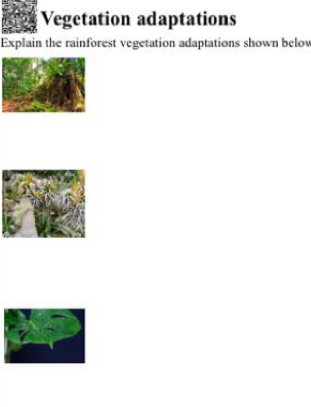 Vegetation adaptations 
Explain the rainforest vegetation adaptations shown below