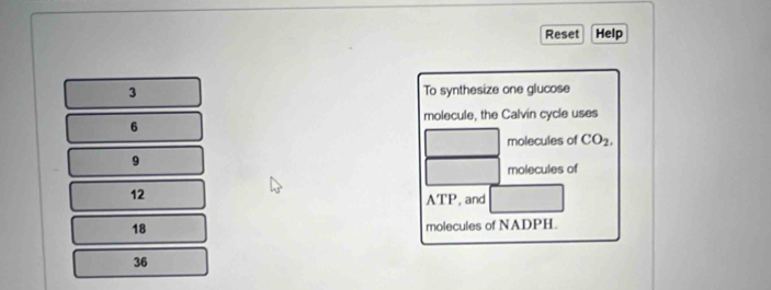 Reset Help 
3 To synthesize one glucose 
molecule, the Calvin cycle uses
6
molecules of CO_2,
9
molecules of
12
ATP, and
18 molecules of NADPH.
36