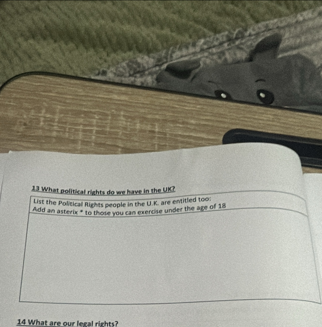 What political rights do we have in the UK? 
List the Political Rights people in the U.K. are entitled too: 
Add an asterix * to those you can exercise under the age of 18
14 What are our legal rights?
