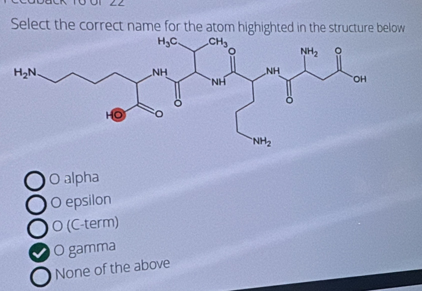 LL
Select the correct name for the atom highighted in the structure below
O alpha
O epsilon
O (C-term)
O gamma
None of the above