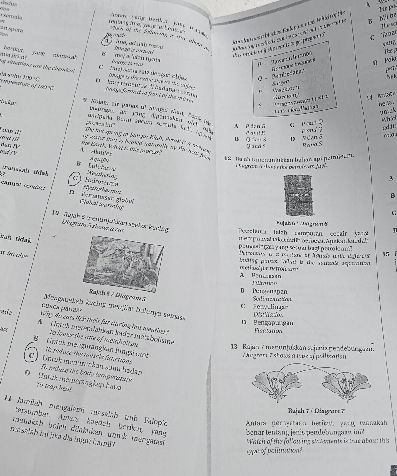 dedua
A Ager
sion
The pol
semula
Antara yang berikut, yang manaka
The see
Which of the following is true about the following methods can be carried out to overcome B Biji be
tentang imej yang terbentuk?
lamilah has a blocked Fallopian tube. Which of the
an spora
ion formed?
Imej adalah maya
yang
this problem if she wants to get pregnant?
P - Rawatan hormon C Tanar
Image is virtual The p
berikut, yang manakah Image is real
B Imej adalah nyata
Q - Pembedahan Hormone treatment
D Poko
mia jirim? C Imej sama saiz dengan objek
ng situations are the chemical Image is the same size as the object
Neu
temperature of 100°C
Surgery pen
D Imej terbentuk di hadapan cermin
da suhu 100°C Image formed in front of the mirror
R - Vasektomi
Vasectomy
S - Persenyawaan in vitro
14 Antara
bakar benar
n vitro fertilisation
untuk
9 Kolam air panas di Sungai Klah, Perak ialak A P dan R C P dan Q
ir
Which
takungan air yang dipanaskan oleh haba
proses ini?
P and R
P and Q
addit
daripada Bumi secara semula jadi. Apakah B Q dan S D R dan S
I dan III
colou
dan IV Q and S
R and S
and III A Akuifer
of water that is heated naturally by the heat from 12 Rajah 6 menunjukkan bahan api petroleum.
the Earth. What is this process?
The hot spring in Sungai Klah, Perak is a reservoin A
and IV
Aquifer
B Luluhawa
Diagram 6 shows the petroleum fuel.
k?
Weathering
manakah tidak C》Hidroterma
Hydrothermal
cannot conduct D Pemanasan global
B
Global warming
C
10 Rajah 5 menunjukkan seekor kucing.
Rajah 6 / Diagram 6
Diagram 5 shows a cat.
Petroleum ialah campuran cecair yang D
kah tidak
mempunyai takat didih berbeza. Apakah kaedah
pengasingan yang sesuai bagi petroleum?
ot involve
Petroleum is a mixture of liquids with different 15  F
boiling points. What is the suitable separation
method for petroleum?
A Penurasan
Filtration
B Pengenapan
agram 5
Sedimentation
Mengapakah kucing menjilat bulunya semasa
cuaca panas?
C Penyulingan
Distillation
ada Why do cats lick their fur during hot weather?
D Pengapungan
ex Floatation
A   Untuk merendahkan kadar metabolisme
To lower the rate of metabolism
B Untuk mengurangkan fungsi otot
13 Rajah 7 menunjukkan sejenis pendebungaan.
To reduce the muscle functions
Diagram 7 shows a type of pollination.
C Untuk menurunkan suhu badan
To reduce the body temperature
D Untuk memerangkap haba
To trap heat
11 Jamilah mengalami masalah tiub Falopio
Rajah 7 / Diagram 7
tersumbat. Antara kaedah berikut, yang
Antara pernyataan berikut, yang manakah
manakah boleh dilakukan untuk mengatasi
benar tentang jenis pendebungaan ini?
masalah ini jika dia ingin hamil?
Which of the following statements is true about this
type of pollination?