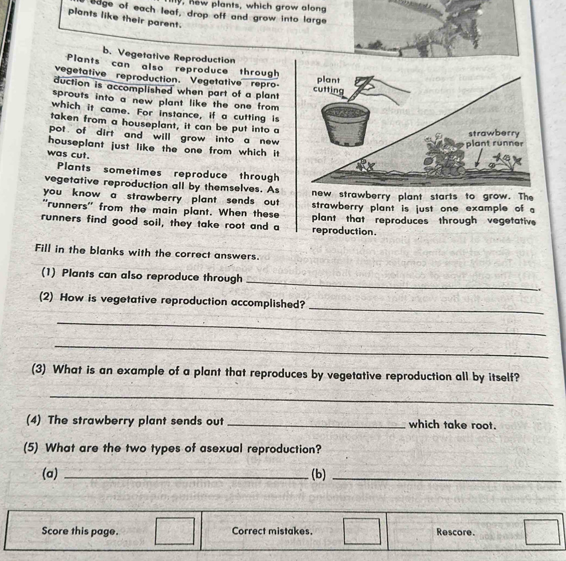 ly, new plants, which grow along 
I edge of each leaf, drop off and grow into large 
plants like their parent. 
b. Vegetative Reproduction 
Plants can also reproduce through 
vegetative reproduction. Vegetative repro- 
duction is accomplished when part of a plant 
sprouts into a new plant like the one from 
which it came. For instance, if a cutting is 
taken from a houseplant, it can be put into a 
pot of dirt and will grow into a new 
houseplant just like the one from which it 
was cut. 
Plants sometimes reproduce through 
vegetative reproduction all by themselves. Asnew strawberry plant starts to grow. The 
you know a strawberry plant sends out strawberry plant is just one example of a 
''runners'' from the main plant. When these plant that reproduces through vegetative 
runners find good soil, they take root and a reproduction. 
Fill in the blanks with the correct answers. 
_ 
(1) Plants can also reproduce through 
(2) How is vegetative reproduction accomplished? 
_ 
_ 
_ 
(3) What is an example of a plant that reproduces by vegetative reproduction all by itself? 
_ 
(4) The strawberry plant sends out _which take root. 
(5) What are the two types of asexual reproduction? 
(a) _(b)_ 
Score this page. Correct mistakes. Rescore.