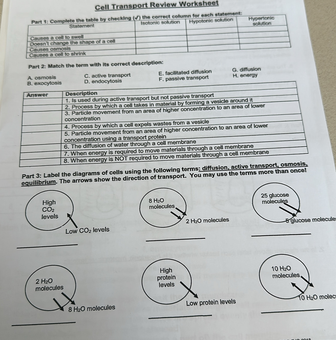 Cell Transport Review Worksheet
Part 2: Match the term with its correct description:
A. osmosis C. active transport E. facilitated diffusion G. diffusion
D. endocytosis F. passive transport H. energy
Part 3: Label the diagrams of cells using the followin
equilibrium. The arrows show the direction of transport. You may use the terms more than once!
25 glucose
8 H_2O molecules
molecules
2H_2O molecules
_
_
5 glucose molecule
_
10H_2O
molecules
_10 H_2O molec
_