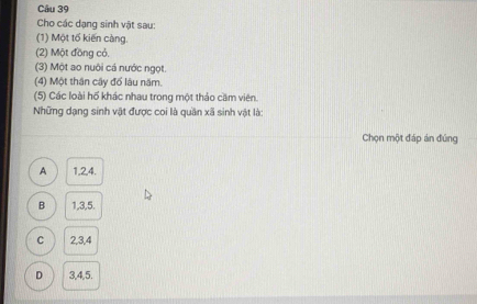 Cho các dạng sinh vật sau:
(1) Một tố kiến càng.
(2) Một đồng cỏ,
(3) Một ao nuôi cá nước ngọt.
(4) Một thân cây đổ lâu năm.
(5) Các loài hố khác nhau trong một thảo cầm viên.
Những dạng sinh vật được coi là quần xã sinh vật là:
Chọn một đáp án đúng
A 1, 24.
B 1, 3, 5.
C 2, 3, 4
D 3, 4, 5.