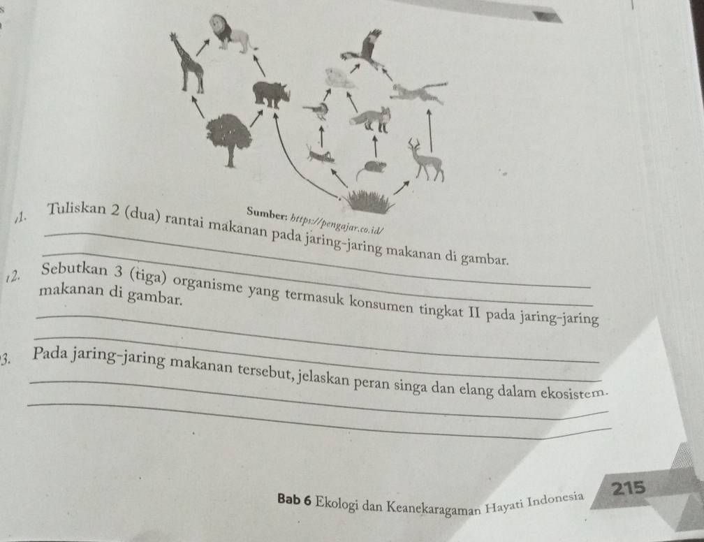 id/ 
_ 
1. Tuliskan 2 (dunan pada jaring-jaring makanan di gambar 
_ 
2. Sebutkan 3 (tiga) organisme yang termasuk konsumen tingkat II pada jaring-jaring makanan di gambar. 
_ 
_ 
3. Pada jaring-jaring makanan tersebut, jelaskan peran singa dan elang dalam ekosistem. 
Bab 6 Ekologi dan Keanekaragaman Hayati Indonesia 215