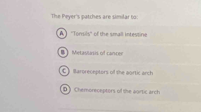 The Peyer's patches are similar to:
A ''Tonsils' of the small intestine
B  Metastasis of cancer
C Baroreceptors of the aortic arch
D Chemoreceptors of the aortic arch