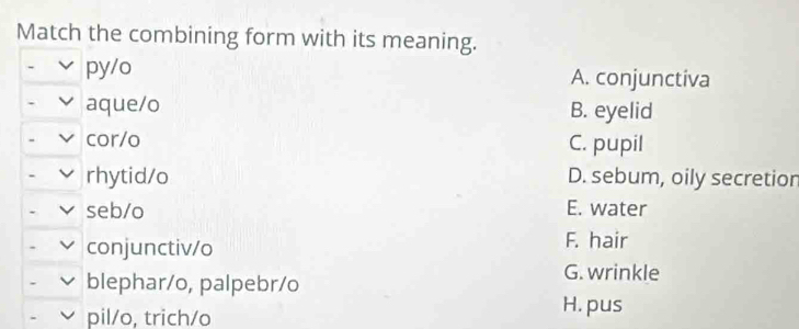 Match the combining form with its meaning.
py/o A. conjunctiva
aque/o B. eyelid
cor/o C. pupil
. rhytid/o D. sebum, oily secretion
. seb/o E. water
、 conjunctiv/o F. hair
. blephar/o, palpebr/o
G. wrinkle
pil/o, trich/o
H. pus