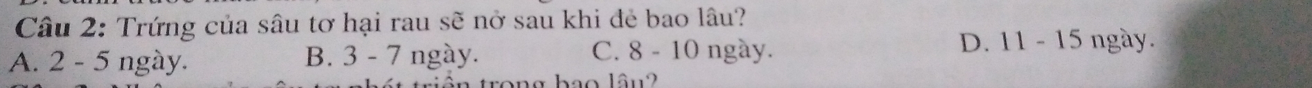 Trứng của sâu tơ hại rau sẽ nở sau khi đẻ bao lâu?
A. 2 - 5 ngày. B. 3 - 7 ngày.
C. 8 - 10 ngày. D. 11 - 15 ngày.
ao lâu2