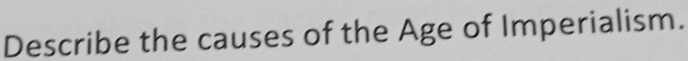 Describe the causes of the Age of Imperialism.