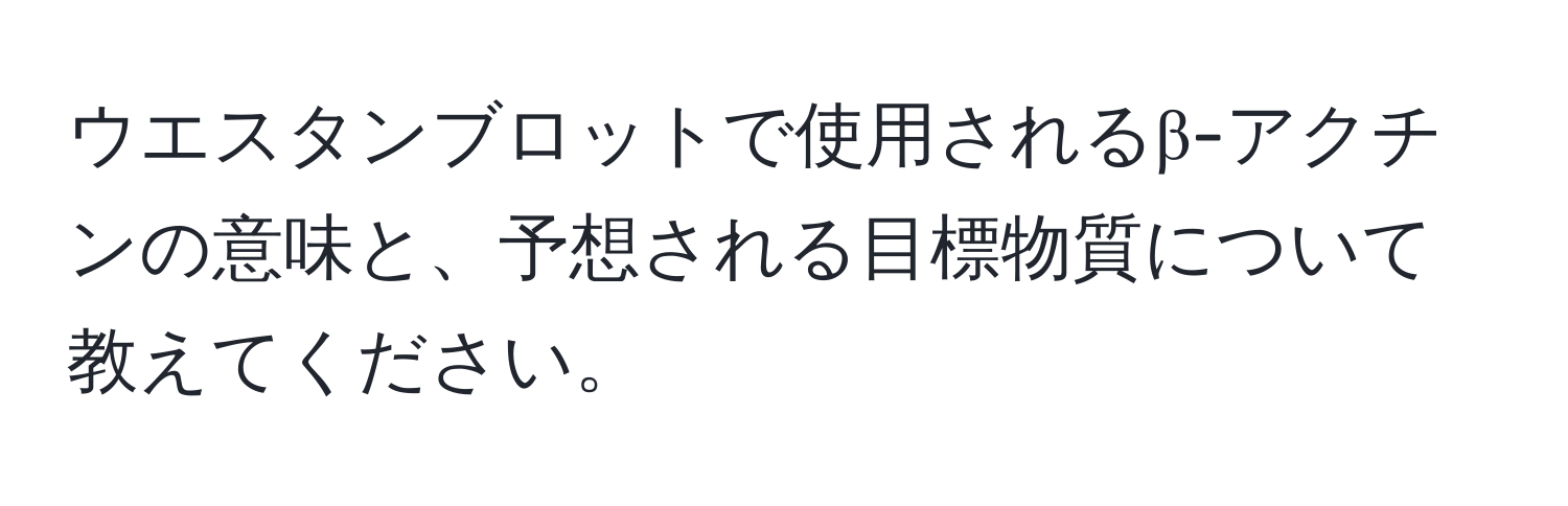 ウエスタンブロットで使用されるβ-アクチンの意味と、予想される目標物質について教えてください。