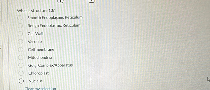 What is structure 13?
Smooth Endoplașmic Reticulum
Rough Endoplasmic Reticulum
Cell Wall
Vacuole
Cell membrane
Mitochondria
Golgi Complex/Apparatus
Chloroplast
Nucleus

Clear my selection