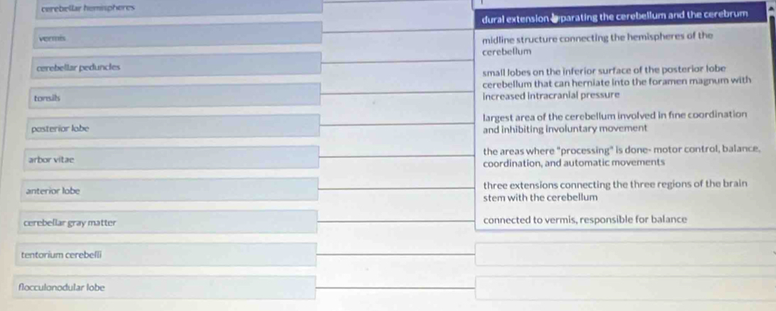 cerebellar hemispheres
dural extension Iparating the cerebellum and the cerebrum
vermis
midline structure connecting the hemispheres of the
cerebellum
cerebellar peduncles
small lobes on the inferior surface of the posterior lobe
cerebellum that can herniate into the foramen magnum with
tonsils increased intracranial pressure
largest area of the cerebellum involved in fine coordination
posterior labe and inhibiting involuntary movement
the areas where "processing" is done- motor control, balance.
arbor vitae coordination, and automatic movements
anterior lobe three extensions connecting the three regions of the brain
stem with the cerebellum
cerebellar gray matter connected to vermis, responsible for balance
tentorium cerebelli
flocculonodular lobe