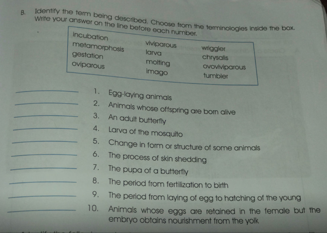 Identify the term being described. Choose from the terminologies inside the box.
Write your answer on the line before each number.
incubation viviparous wriggler
metamorphosis larva
chrysalis
gestation molting
ovoviviparous
oviparous imago
tumbler
_1. Egg-laying animals
_2. Animals whose offspring are born alive
_3. An adult butterfly
_4. Larva of the mosquito
_5. Change in form or structure of some animals
_6. The process of skin shedding
_7. The pupa of a butterfly
_8. The period from fertilization to birth
_9. The period from laying of egg to hatching of the young
_10. Animals whose eggs are retained in the female but the
embryo obtains nourishment from the yolk