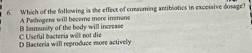 Which of the following is the effect of consuming antibiotics in excessive dosage?
A Pathogens will become more immune
B Immunity of the body will increase
C Useful bacteria will not die
D Bacteria will reproduce more actively