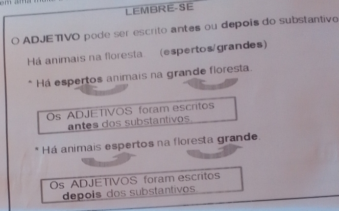 LEMBRE-SE 
ADJETIVO pode ser escrito antes ou depois do substantivo 
Há animais na floresta (espertos/grandes) 
* Há espertos animais na grande floresta. 
Os ADJETIVOS foram escritos 
antes dos substantivos. 
* Há animais espertos na floresta grande. 
Os ADJETIVOS foram escritos 
depois dos substantivos.