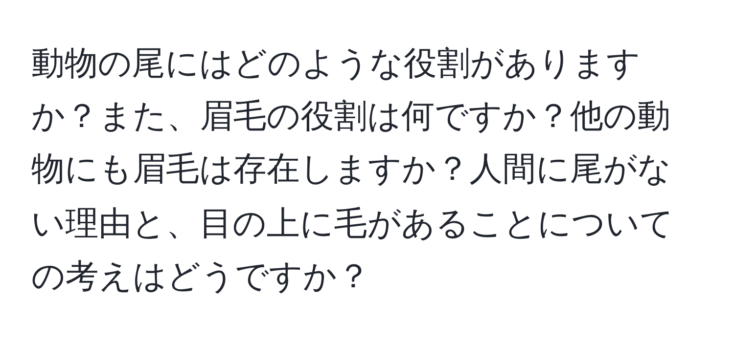 動物の尾にはどのような役割がありますか？また、眉毛の役割は何ですか？他の動物にも眉毛は存在しますか？人間に尾がない理由と、目の上に毛があることについての考えはどうですか？