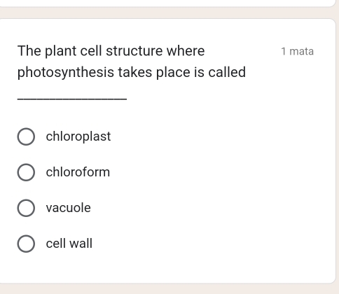 The plant cell structure where 1 mata
photosynthesis takes place is called
_
chloroplast
chloroform
vacuole
cell wall