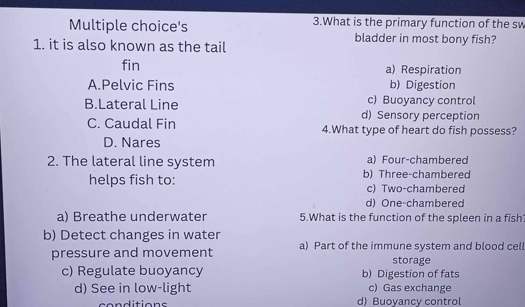 's
3.What is the primary function of the sw
bladder in most bony fish?
1. it is also known as the tail
fin
a) Respiration
A.Pelvic Fins b) Digestion
B.Lateral Line
c) Buoyancy control
d) Sensory perception
C. Caudal Fin
4.What type of heart do fish possess?
D. Nares
2. The lateral line system
a) Four-chambered
helps fish to:
b) Three-chambered
c) Two-chambered
d) One-chambered
a) Breathe underwater 5.What is the function of the spleen in a fish
b) Detect changes in water
pressure and movement
a) Part of the immune system and blood cell
storage
c) Regulate buoyancy b) Digestion of fats
d) See in low-light c) Gas exchange
d) Buoyancy control