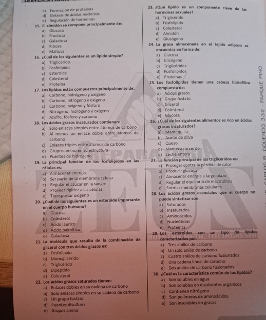 ¿Qué lípido es un componente clave de las
c) Formación de proteinas hormonas sexuales?
e) Regulación de hormonas d) Síntesis de ácidos nucleicos
a) Triglicérido
15. El almidón se compone principalmente de: c) Colesterol b) Fosfolípido
a) Glucosa
c) Galactosa b) Fructosa d) Alimidón e) Glucágeno
d) Ribosa 24. La grasa almacenada en el tejido adiposo se
e) Maltosa encuentra en forma de
16. ¿Cuál de los siguientes es un lípido simple? a) Glucosa
a) Triglicérido b) Glicógeno c) Triglicéridas
b) Fosfalípido
c) Esteroide e) Proteínas d) Fosfolipidos
d) Colesteral
e) Proteína 25. Los fosfolípidos tienen una cabeza hidrofílica
17. Los lípidos están compuestos principalmente de: compuesta de:
a) Carbono, hidrógeno y oxígeno a) Ácidos grasos
b) Carbono, nitrógeno y oxígeno
c) Carbono, oxigeno y fósforo c) Glicerol b) Grupo fosfato
18. Los ácidos grasos insaturados contienen: 26. ¿Cuál de los siguientes alimentos es rico en ácidos .
d) Nitrógeno, hidrógeno y oxígeno d) Colesterol
e) Azufre, fósforo y carbono e) Glucosa
a) Sólo eníaces simples entre átomos de carbono grasos insaturados?
a) Mantequilla
b) Al menos un enlace doble entre átomos de b| Aceite de cliva
carbono
c) Enlaces triples entre átomos de carbono c) Queso
d) Grupos amino en su estructura d) Manteca de cerdo
e) Puentes de hidrógeno e) Leche entera
19. La principal función de los fosfolípidos en las  27. La función principal de los triglicéridos es:
células es: a) Proteger contra la pérdida de calor f
al Almacenar energía b) Producir glucosa
b) Ser parte de la membrana celular c) Almacenar energía a largo plazo
c) Regular el azúcar en la sangre d) Regular el equilibrio de electrolitos
e) Formar membranas celulares
d) Proveer rigidez a las células 28. Los ácidos grasos esenciales que el cuerpo no
e) Transportar oxigeno
20. ¿Cuál de los siguientes es un esteroide importante puede sintetizar son:
en el cuerpo humano? a) Saturados
aj Glucosa b| Insaturados
b) Colesterol c) Aminoácidos
e) Ácido láurico d) Nucleótidos
d) Ácido palmítico e) Proteínas
e) Galactosa 29. Los esteroides son un tipo de lípidos
1. La molécula que resulta de la combinación de a) Tres anillos de carbono caracterizados por:
glicerol con tres ácidos grasos es:
a) Fosfolipido b) Un solo anillo de carbono
b) Monoglicérido c) Cuatro anillos de carbono fusionados
c) Triglicérido d) Una cadena lineal de carbono
d) Dipeptido e) Dos anillos de carbono fusionados
e) Colesteral 30. ¿Cuál es la característica común de los lípidos?
a) Son solubles en agua
22. Los ácidos grasos saturados tienen: b) Son solubles en disolventes orgánicos
a) Enlaces dobles en su cadena de carbono
b) Sólo eníaces simples en su cadena de carbono c) Contienen nitrógeno
c) Un grupo fosfato e) Son insolubles en grasas d) Son polímeros de aminoácidos
d) Puentes disulfuro
e) Grupos amino