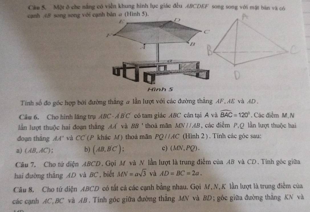 Một ô che nắng có viền khung hình lục giác đều ABCDEF song song với mặt bản và có 
cạnh AB song song với cạnh bàn a (Hình 5). 
E
D
1
B
Hình 5 
Tính số đo góc hợp bởi đường thẳng a lần lượt với các đường thẳng AF, AE và AD. 
Câu 6. Cho hình lăng trụ ABC· A'B'C' có tam giác ABC cân tại A và widehat BAC=120°. Các điểm M N 
ln lượt thuộc hai đoạn thẳng AA' và BB ' thoả mãn MN//AB , các điểm P, Q lần lượt thuộc hai 
đoạn thắng AA' và CC (P khác M) thoả mãn PQ//AC (Hình 2 ) . Tính các góc sau: 
a) (AB,AC) b) (AB,B'C') : c) (MN,PQ). 
Câu 7. Cho tứ diện ABCD. Gọi M và N lần lượt là trung điểm của AB và CD. Tính góc giữa 
hai đường thắng AD và BC , biết MN=asqrt(3) và AD=BC=2a. 
Câu 8. Cho tứ diện ABCD có tất cả các cạnh bằng nhau. Gọi M, N, K lần lượt là trung điểm của 
các cạnh AC, BC và AB. Tính góc giữa đường thẳng MN và BD; góc giữa đường thẳng KN và