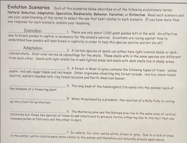 Evolution Scenarios Each of the scenarios below describes on of the following evolutionary terms: 
Natural Selection, Adaptation, Speciation, Biodiversity, Behavior, Variation, or Extinction. Read each scenario and 
use your understanding of the terms to select the one that best relates to each scenario. If you have more than 
one response for each scenario, explain your reasoning. 
_Extinction _1. There are only about 1,000 giant pandas left in the wild. An effective 
way to breed pandas in captive is necessary for the animal's survival. Scientists are racing against time to 
understand how panda's will best breed in captivity in order to help this species survive and not die off. 
_Adaptation 2. A certain species of snails can either have light-colored shells or dark- 
colored shells. Shell color serves as camouflage for the snails. These snails with in the same species are different 
from each other. Snails with light shells live in well-lighted areas and snails with dark shells live in shady areas. 
_3. A forest in West Virginia contains the following types of trees: yellow 
poplar, red oak, sugar maple and red maple. Other organisms inhabiting the forest include: red fox, black-tailed 
squirrel, eastern meadow lark, ring tailed raccoons and North American beaver. 
_4. The long beak of the hummingbird fits easily into the slender neck of 
the blossom of a flowering plant. 
_5. When threatened by a predator, the reaction of a Rolly-Polly is curling 
up into a ball for protection. 
_6. The Monterey pine and the Bishops pine live in the same area of central 
California but these two species of trees do not interbreed to produce fertile offspring due to the fact that one 
releases pollen in February and the other in April. 
_7 In rabbits, fur color can be white, brown or grey. Due to a lack of snow 
in the winter, white rabbits were more visible to the wolves and therefore are naturally preyed upon more.