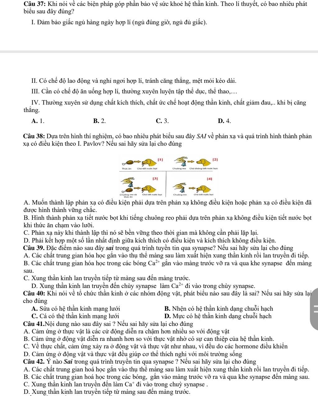 Khi nói về các biện pháp góp phần bảo vệ sức khoẻ hệ thần kinh. Theo lí thuyết, có bao nhiêu phát
biểu sau đây đúng?
I. Đảm bảo giấc ngủ hàng ngày hợp lí (ngủ đúng giờ, ngủ đủ giấc).
II. Có chế độ lao động và nghi ngơi hợp lí, tránh căng thắng, mệt mỏi kéo dài.
III. Cần có chế độ ăn uống hợp lí, thường xuyên luyện tập thể dục, thể thao,...
IV. Thường xuyên sử dụng chất kích thích, chất ức chế hoạt động thần kinh, chất giảm đau,.. khi bị căng
thǎng.
A. 1. B. 2. C. 3. D. 4.
Câu 38: Dựa trên hình thí nghiệm, có bao nhiêu phát biểu sau đây SAI về phản xạ và quá trình hình thành phản
xạ có điều kiện theo I. Pavlov? Nếu sai hãy sửa lại cho đúng
[1] [2]
Thức ăn  Chó tiết nước bọt Chuông reo Chó không tiết nước bọ
[3] [4]
A. Muốn thành lập phản xạ có điều kiện phải dựa trên phản xạ không điều kiện hoặc phản xạ có điều kiện đã
được hình thành vững chắc.
B. Hình thành phản xạ tiết nước bọt khi tiếng chuông reo phải dựa trên phản xạ không điều kiện tiết nước bọt
khi thức ăn chạm vào lưỡi.
C. Phản xạ này khi thành lập thì nó sẽ bền vững theo thời gian mà không cần phải lặp lại.
D. Phải kết hợp một số lần nhất định giữa kích thích có điều kiện và kích thích không điều kiện.
Câu 39. Đặc điểm nào sau đây sai trong quá trình tuyền tin qua synapse? Nếu sai hãy sửa lại cho đúng
A. Các chất trung gian hóa học gắn vào thụ thể màng sau làm xuất hiện xung thần kinh rồi lan truyền đi tiếp.
B. Các chất trung gian hóa học trong các bóng Ca^(2+) găn vào màng trước vỡ ra và qua khe synapse đến màng
sau.
C. Xung thần kinh lan truyền tiếp từ màng sau đến màng trước.
D. Xung thần kinh lan truyền đến chùy synapse làm Ca^(2+) đi vào trong chùy synapse.
Câu 40: Khi nói về tổ chức thần kinh ở các nhóm động vật, phát biểu nào sau đây là sai? Nếu sai hãy sửa lại
cho đúng
A. Sứa có hệ thần kinh mạng lưới B. Nhện có hệ thần kinh dạng chuỗi hạch
C. Cá có thệ thần kinh mạng lưới D. Mực có hệ thần kinh dạng chuỗi hạch
Câu 41.Nội dung nào sau đây sai ? Nếu sai hãy sửa lại cho đúng
A. Cảm ứng ở thực vật là các cử động diễn ra chậm hơn nhiều so với động vật
B. Cảm ứng ở động vật diễn ra nhanh hơn so với thực vật nhờ có sự can thiệp của hệ thần kinh.
C. Về thực chất, cảm ứng xảy ra ở động vật và thực vật như nhau, vì đều do các hormone điều khiển
D. Cảm ứng ở động vật và thực vật đều giúp cơ thể thích nghi với môi trường sống
Câu 42. Ý nào Sai trong quá trình truyền tin qua synapse ? Nếu sai hãy sửa lại cho đúng
A. Các chất trung gian hoá học gắn vào thụ thể màng sau làm xuất hiện xung thần kinh rồi lan truyền đi tiếp.
B. Các chất trung gian hoá học trong các bóng, gắn vào màng trước vỡ ra và qua khe synapse đền màng sau.
C. Xung thần kinh lan truyền đến làm Ca^+ đi vào trong chuỳ synapse .
D. Xung thần kinh lan truyền tiếp từ màng sau đến màng trước.