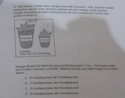 Pak Hamdan memiliki kebun mangga yang sudah siap paren. Rinto, anak Pak Hamdan
sedang libur sekolah. Rinto membantu syahnya memanen mangga. Setelah dipanen.
mangga dimasukkan ke dalam keranjang besar dan kecil seebagaimana nampak pada
garbar di bawah mi
Mangga diangkut ke dalam truk yang meriäk daya angkut 1.3 tor. Truk tersebut sudah
berisi muatan sebanyak, 8, 5 kuintal. Maksimal mangga yang dapal diangkut truk lersabut
adaiah_ - -
A. 16 keranjang besar dan 5 keranjang kecil
B. 17 keranjang besar dan 4 keranjang kecii
C. 18 keranjang besar dan 6 keranjang kecil
D. 20 keranjang besar dan 3 keranjang kecil