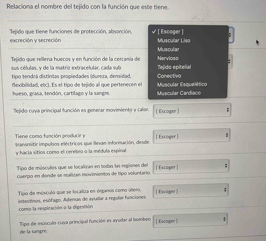 Relaciona el nombre del tejido con la función que este tiene.
Tejido que tiene funciones de protección, absorción, [ Escoger ]
excreción y secreción Muscular Liso
Muscular
Tejido que rellena huecos y en función de la cercanía de Nervioso
sus células, y de la matriz extracelular, cada sub Tejido epitelial
tipo tendrá distintas propiedades (dureza, densidad, Conectivo
flexibilidad, etc). Es el tipo de tejido al que pertenecen el Muscular Esquelético
hueso, grasa, tendón, cartílago y la sangre. Muscular Cardiaco
Tejido cuya principal función es generar movimiento y calor. [ Escoger ]
Tiene como función producir y [ Escoger ]
transmitir impulsos eléctricos que Ilevan información, desde
y hacia sitios como el cerebro o la médula espinal
Tipo de músculos que se localizan en todas las regiones del [ Escoger ]
cuerpo en donde se realizan movimientos de tipo voluntario.
Tipo de músculo que se localiza en órganos como útero, [ Escoger ]
4
intestinos, esófago. Ademas de ayudar a regular funciones
como la respiración o la digestión
Tipo de músculo cuya principal función es ayudar al bombeo [ Escoger ]
;
de la sangre.