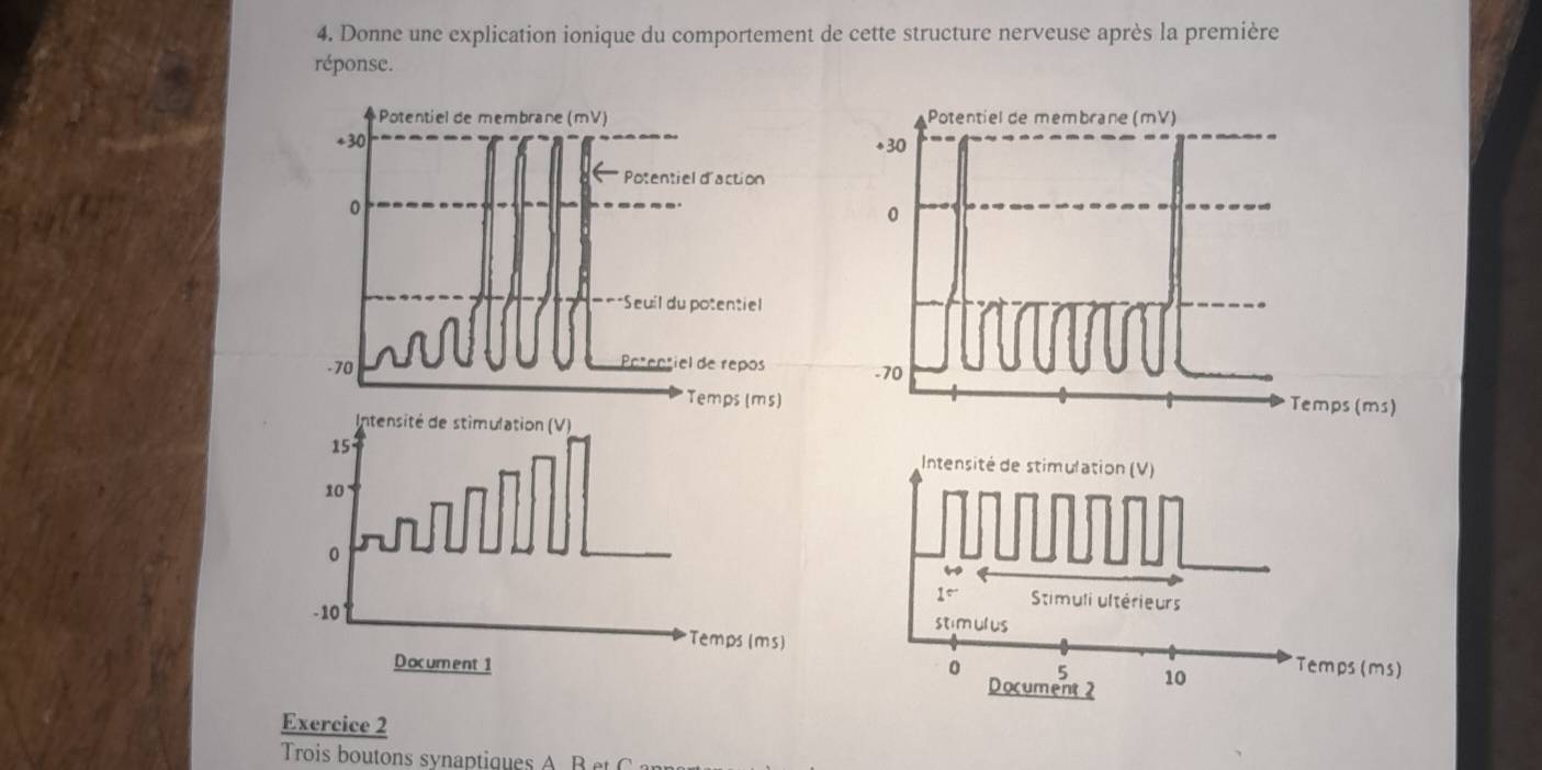 Donne une explication ionique du comportement de cette structure nerveuse après la première
réponse.
Potentiel de membrane (mV)
+30
0
-70
Temps (ms)
Exercice 2
Trois boutons synaptiques A B et C