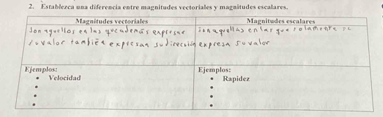 Establezca una diferencia entre magnitudes vectoriales y magnitudes escalares.