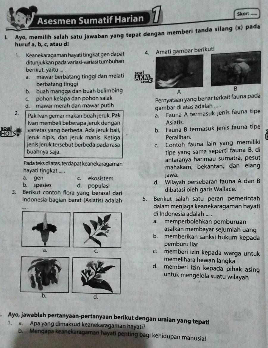 Asesmen Sumatif Harian 1 Skor:_
l. Ayo, memilih salah satu jawaban yang tepat dengan memberi tanda silang (x) pada
huruf a, b, c, atau d!
1. Keanekaragaman hayati tingkat gen dapat 4. Amati gambar berikut!
ditunjukkan pada variasi-variasi tumbuhan
berikut, yaitu ... .
a. mawar berbatang tinggi dan melati soal
evel
berbatang tinggi
b. buah mangga dan buah belimbing A
B
c. pohon kelapa dan pohon salak
d. mawar merah dan mawar putìh Pernyataan yang benar terkait fauna pada
gambar di atas adalah ... .
2. Pak Ivan gemar makan buah jeruk. Pak
a. Fauna A termasuk jenis fauna tipe
Ivan membeli beberapa jeruk dengan Asiatis.
soal varietas yang berbeda. Ada jeruk bali,
b. Fauna B termasuk jenis fauna tipe
HOTS jeruk nipis, dan jeruk manis. Ketiga Peralihan.
jenis jeruk tersebut berbeda pada rasa c. Contoh fauna lain yang memiliki
buahnya saja. tipe yang sama seperti fauna B, di
Pada teks di atas, terdapat keanekaragaman antaranya harimau sumatra, pesut
mahakam, bekantan, dan elang
hayati tingkat ... .
a. gen c. ekosistem
jawa.
b. spesies d. populasi d. Wilayah persebaran fauna A dan B
3. Berikut contoh flora yang berasal dari dibatasi oleh garis Wallace.
Indonesia bagian barat (Asiatis) adalah 5. Berikut salah satu peran pemerintah
dalam menjaga keanekaragaman hayati
di Indonesia adalah ... .
a. memperbolehkan pemburuan
asalkan membayar sejumlah uang
b. memberikan sanksi hukum kepada
pemburu liar
c. memberi izin kepada warga untuk
memelihara hewan langka
d. memberi izin kepada pihak asing
untuk mengelola suatu wilayah
. Ayo, jawablah pertanyaan-pertanyaan berikut dengan uraian yang tepat!
1. a. Apa yang dimaksud keanekaragaman hayati?
b. Mengapa keanekaragaman hayati penting bagi kehidupan manusia!