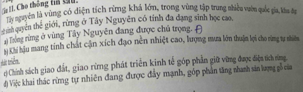 Gu 1I. Cho thông tin su. 
Tây nguyên là vùng có diện tích rừng khá lớn, trong vùng tập trung nhiều vuờn quốc gia, kha đị 
# sinh quyền thể giới, rừng ở Tây Nguyên có tính đa đạng sinh học cao, 
) Tròng rừng ở vùng Tây Nguyên đang được chủ trọng. 
bị Khí hậu mang tính chất cận xích đạo nền nhiệt cao, lượng mua lớm thuận lọi cho rừng tự nhiêm 
shát triển 
() Chính sách giao đất, giao rừng phát triển kinh tế góp phần giữ vững được diện tích rừng. 
) Việc khai thác rừng tự nhiên đang được đầy mạnh, góp phần tăng nhanh sản lượng gỗ của