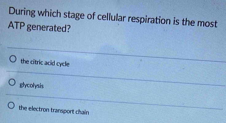 During which stage of cellular respiration is the most
ATP generated?
the citric acid cycle
glycolysis
the electron transport chain