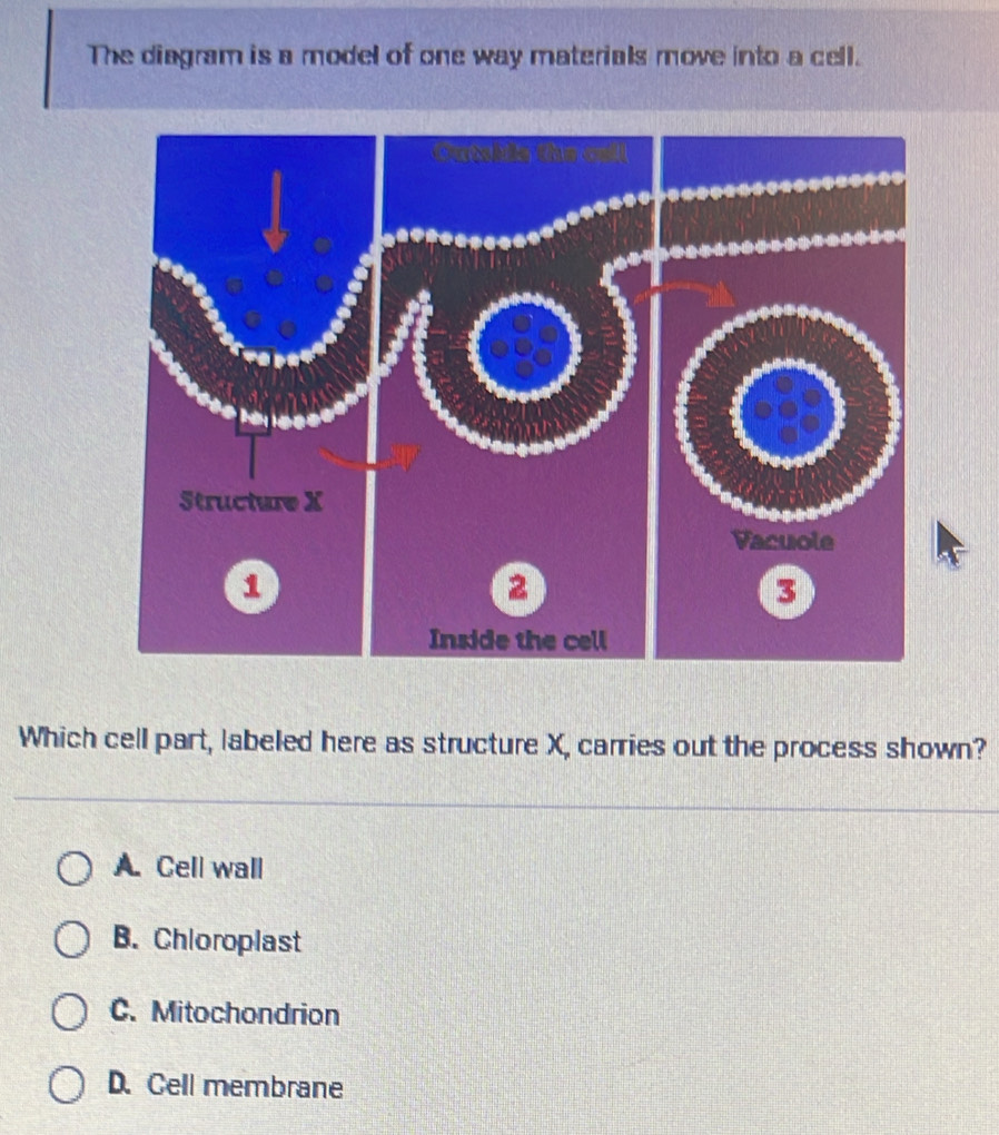 Solved: The diagram is a model of one way materials move into a cell ...