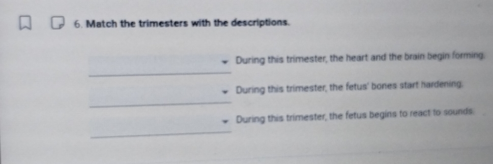 Match the trimesters with the descriptions. 
During this trimester, the heart and the brain begin forming. 
_ 
During this trimester, the fetus' bones start hardening. 
_ 
During this trimester, the fetus begins to react to sounds. 
_