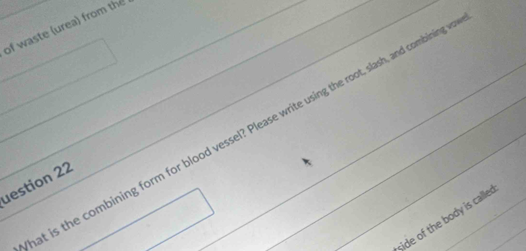 of waste (urea) from the 
at is the combining form for blood vessel? Please write using the root, slash, and combining t 
uestion 22 
side of the body is calle