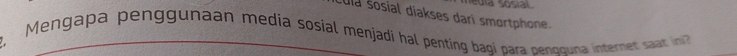 ula sosial. 
día sosial diakses dari smartphone. 
Mengapa penggunaan media sosial menjadi hal penting bagi para oenqquna internet saat i
