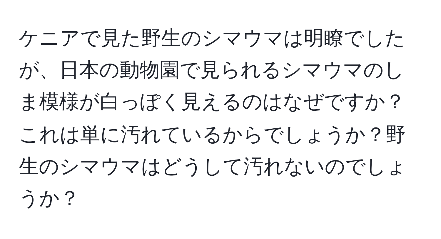 ケニアで見た野生のシマウマは明瞭でしたが、日本の動物園で見られるシマウマのしま模様が白っぽく見えるのはなぜですか？これは単に汚れているからでしょうか？野生のシマウマはどうして汚れないのでしょうか？