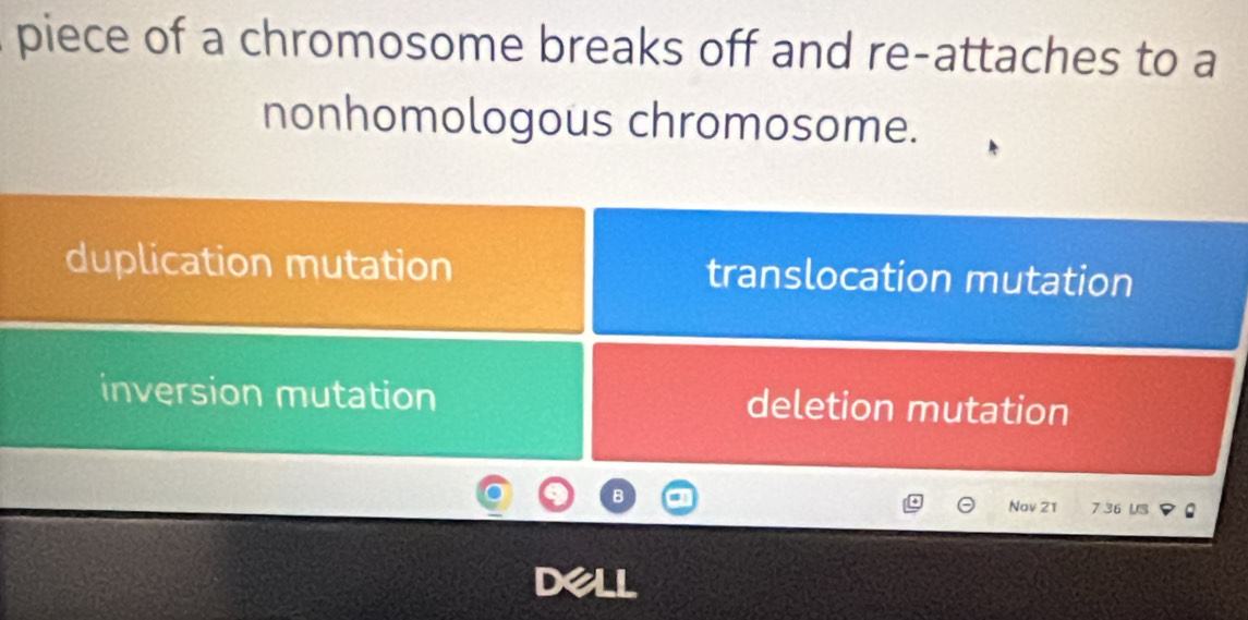 piece of a chromosome breaks off and re-attaches to a
nonhomologous chromosome.
duplication mutation translocation mutation
inversion mutation deletion mutation
Nov 21 7 36 US
de