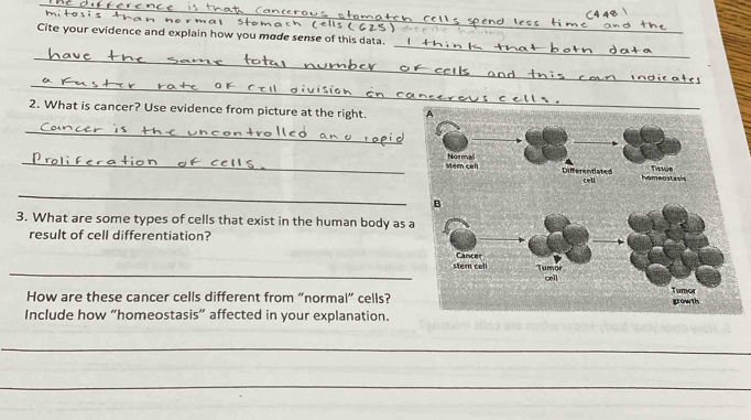 Cite your evidence and explain how you mode sense of this data. 
_ 
_ 
2. What is cancer? Use evidence from picture at the right. 
_ 
_ 
_ 
3. What are some types of cells that exist in the human body as a 
result of cell differentiation? 
_ 
How are these cancer cells different from “normal” cells? 
Include how “homeostasis” affected in your explanation. 
_ 
_