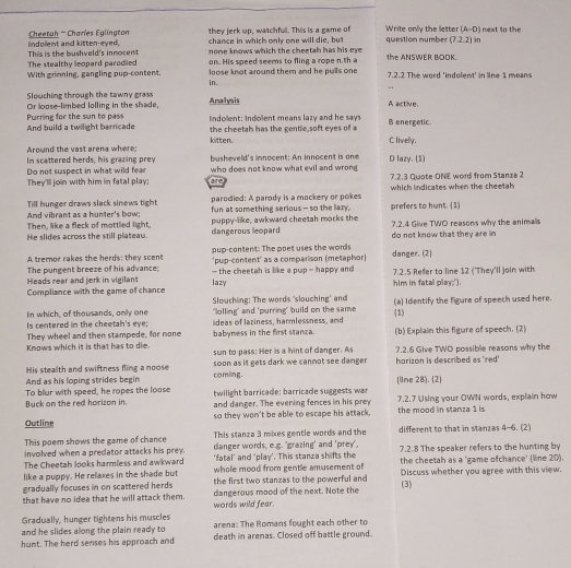 they Jerk up, watchfull. This is a game of Write only the lletter (A-D) next to the 
indolent and kitten-eyed,  Cheetah ' Charíes Eglington chance in which only one will die, but question number (7.2.2) in
The stealthy leopard parodied This is the bushveld's innocent none knows which the cheetah has his eye the ANSWER BOOK.
on. His speed seems to fling a rope n.th a
With grimning, gangling pup-content. in. loose knot around them and he pulls one 7.2.2 The word 'indolent' in line 1 means
-.
Slouching through the tawny grass A active.
Or loose-limbed lolling in the shade, Aralysis
indolent: Indolent means lazy and he says
And build a twilight barricade Purring for the sun to pass the cheetah has the gentle soft eyes of a B energetic.
Around the vast arena where; kitten. C livelly.
In scattered herds, his grazing prey  busheveld's imnocent: An innocent is one D lazy. (1)
Do not suspect in what wild fear who does not know what evil and wrong 
They'lll join with him in fatal play: are 7.2.3 Quote ONE word from Stanze 2
Till hunger draws slack sinews tight parodied: A parody is a mockery or pokes which indicates when the cheetah
And vibrant as a hunter's bow; fun at something serious - so the lazy,
Then, like a fleck of mottled light. puppy-like, awkward cheetah mocks the prefers to hunt. (1)
He slides across the still plateau. dangerous leopard  do not know that they are in 7.2.4 Give TWO reasons why the animals
A tremor rakes the herds: they scent pup-content: The poet uses the words danger. (2)
'pup-content' as a comparison (metaphor)
Heads rear and jerk in vigilant The pungent breeze of his advance; — the cheetah is like a pup - happy and 7.2.5 Refer to line 12 ('They'll join with
Compliance with the game of chance lazy him in fatal play;')
In which, of thousands, only one Slouching: The words 'slouching' and
Is centered in the cheetah's eye; "lolling" and 'purring" build on the same (a) Identify the figure of speech used here.
(1)
They wheel and then stampede, for none ideas of laziness, harmlessness, and (b) Explain this figure of speech. (2)
babyness in the first stanca.
Knows which it is that has to die. sun to pass: Her is a hint of danger. As 7.2.6 Give TWO possible reasons why the
His stealth and swiftness fling a noose soon as it gets dark we canmot see damger horizon is described as 'red '
And as his loping strides begin coming. (line 28). (2)
twilight barricade; barricade suggests war
Buck on the red horizon in. To blur with speed, he ropes the loose and danger. The evening fences in his prey 7.2.7 Using your OWN words, explain how
Outline so they won't be able to escape his attack. the mood in stanza 1 is
This poem shows the game of chance This stanza 3 mixes gentle words and the different to that in stanzas 4-6. (2)
involved when a predator attacks his prey. danger words, e.g. 'grazing' and 'prey',
The Cheetah looks harmless and awkward 'fatal’ and 'play'. This stanza shifts the 7.2.8 The speaker refers to the hunting by
like a puppy. He relaxes in the shade but whole mood from gentle amusement of the cheetah as a 'game ofchance' (line 20).
gradually focuses in on scattered herds the first two stanzas to the powerful and Discuss whether you agree with this view.
that have no idea that he will attack them. words wild fear. dangerous mood of the next. Note the (3)
Gradually, hunger tightens his muscles
and he slides along the plain ready to arena: The Romans fought each other to
hunt. The herd senses his approach and death in arenas. Closed off battle ground.