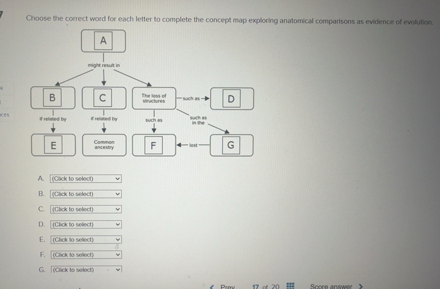 Solved: Choose the correct word for each letter to complete the concept ...