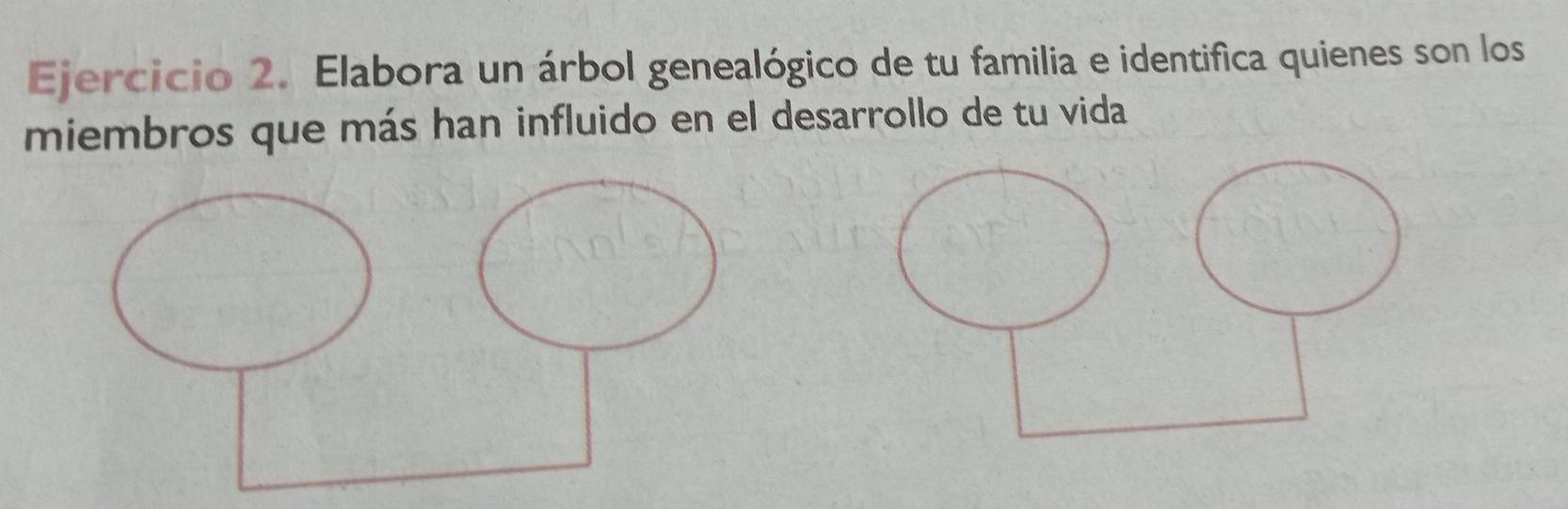 Elabora un árbol genealógico de tu familia e identifica quienes son los 
miembros que más han influido en el desarrollo de tu vida